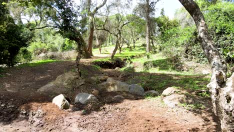 outdoor village sky beautiful village landscape of aerial land scape forest- aerial photography of rural forest kenya- wireless drone quadcopter controller