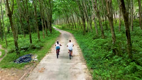 a couple of men and women on bicycle in the jungle of koh yao yai thailand, men and woman bicycling alongside a rubber plantation in thailand.