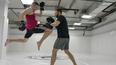 on training on the mixed fights the man beats a knee on paws of the trainer in a jump. slow motion.