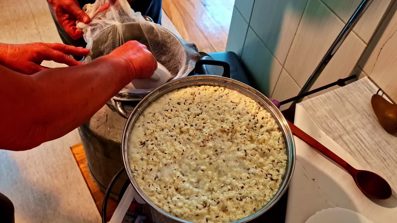 Homemade cheese making process in Cesis, Latvia