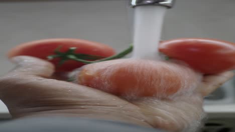 washing tomatoes