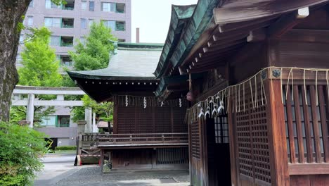 Traditional Japanese shrine in a city setting with modern buildings in the background