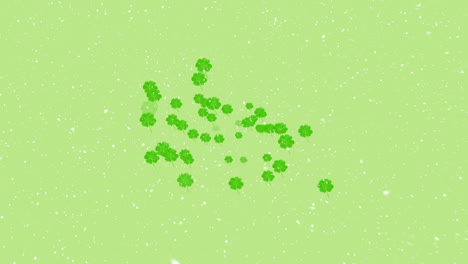 animation of lucky clover over green background