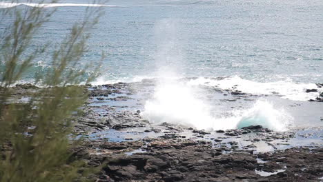 water spews out of hole on rocky shore in hawaii