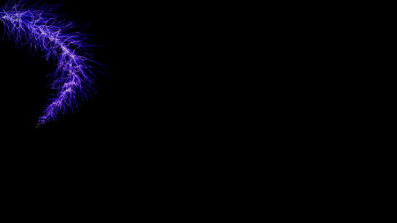 검은색 배경에 반이는 작은 조명 선