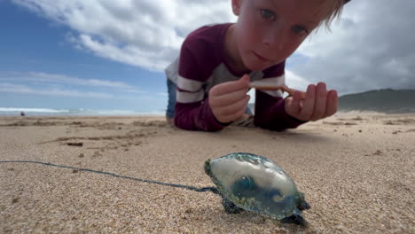 Exploring-the-Mysteries-of-the-Shore:-A-Young-Boy's-Encounter-with-a-Dried-Up-Jellyfish-in-South-Africa