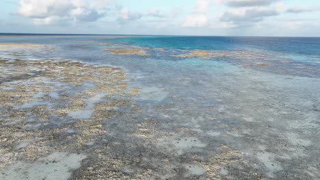 un arrecife vibrante revelado en la marea baja en la isla de filipinas
