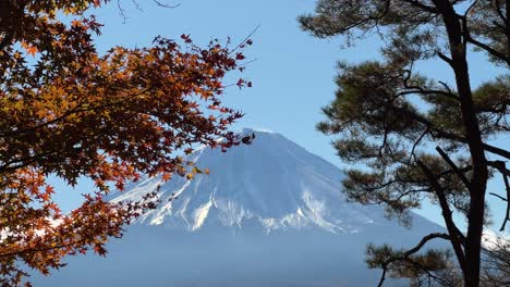 beautifully framed mt. fuji between fall colors, slow motion slider