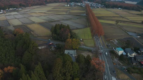 日本的農地, 黎明早晨的siga的空中景色