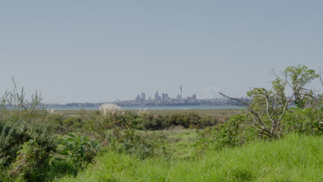 El-Horizonte-De-La-Ciudad-De-Auckland-En-La-Distancia-En-Un-Soleado-Día-De-Invierno,-Nueva-Zelanda