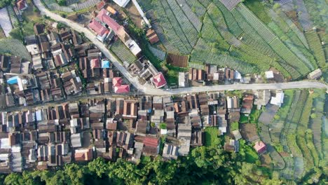 Rural-landscape-of-Wonolelo-village-and-terraced-farmland,-Indonesia,-aerial-top-down