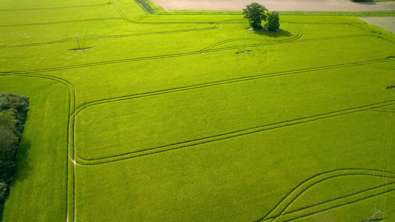Evergreen Fields In Rural Landscapes Near Maine-et-Loire, France