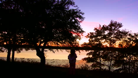 a person stands before a beautiful lake at dusk