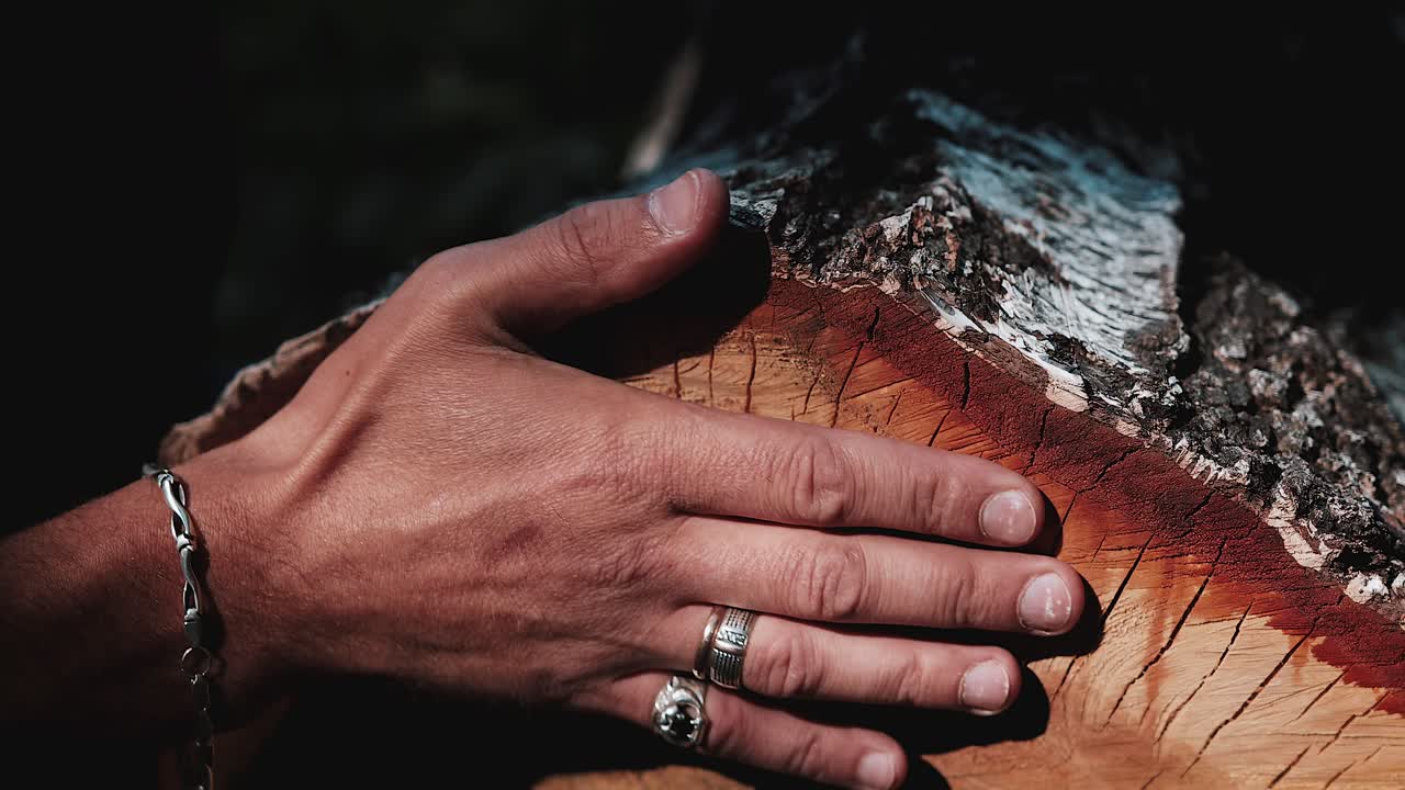 Close-up of a hand touching wood
