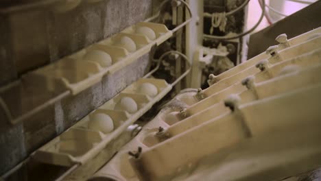 balls of dough in a production line of industrial automated bread factory