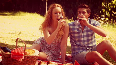 happy cute couple drinking wine and having picnic