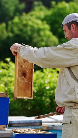apiculturist in uniform stands at the apiary and uses brush to get rid of bees on the frame. lots of bees flying around. nature backdrop. vertical video