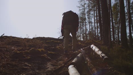 un touriste se rend au campement dans la forêt en marchant seul à travers la forêt vue arrière d'une personne s'élevant sur la pente