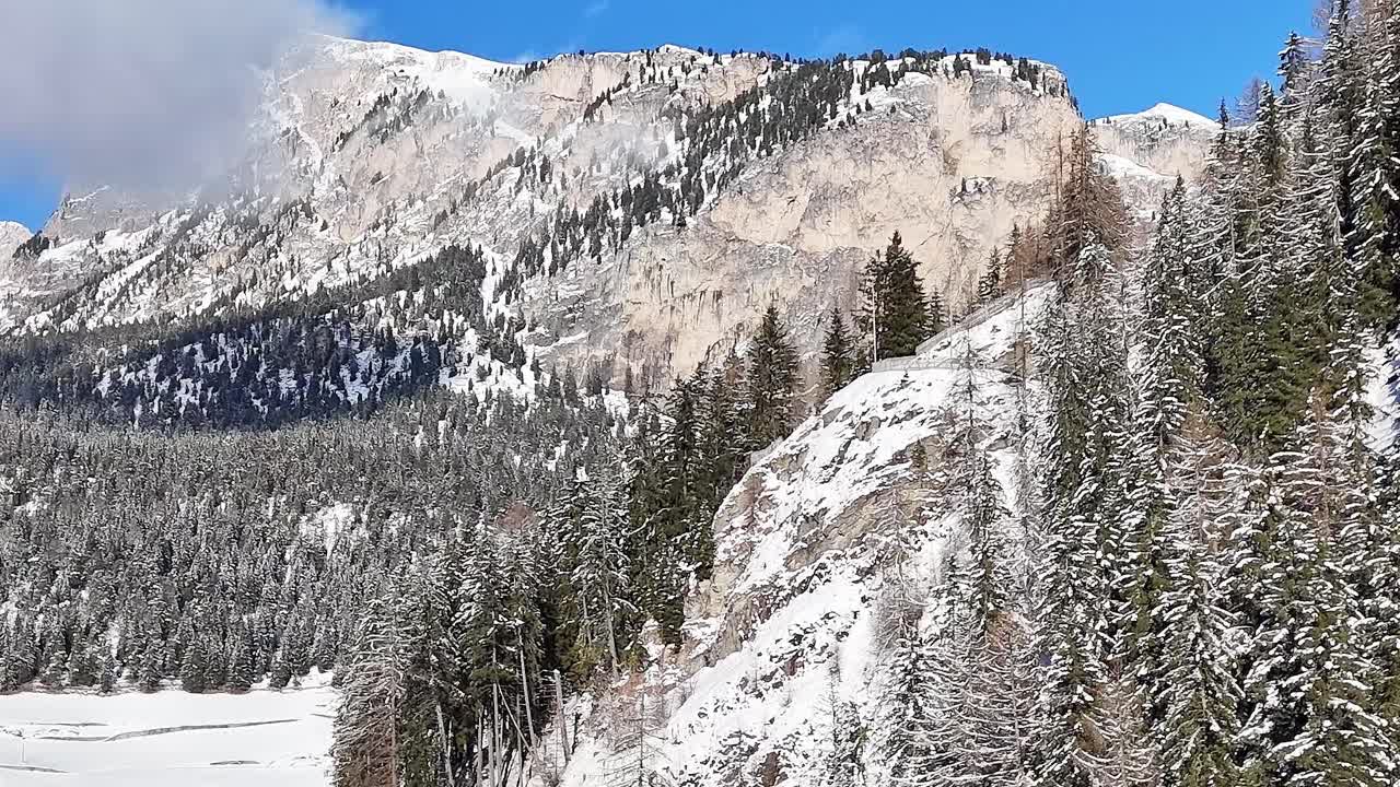 Montagne innevate sulle Alpi con alti pini in Italia