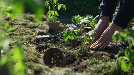 cámara lenta de una mujer haciendo trabajos de jardinería