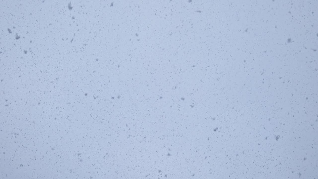 grandes copos de nieve caen contra un cielo brillante