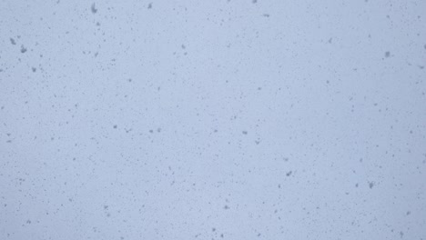 grandes copos de nieve caen contra un cielo brillante
