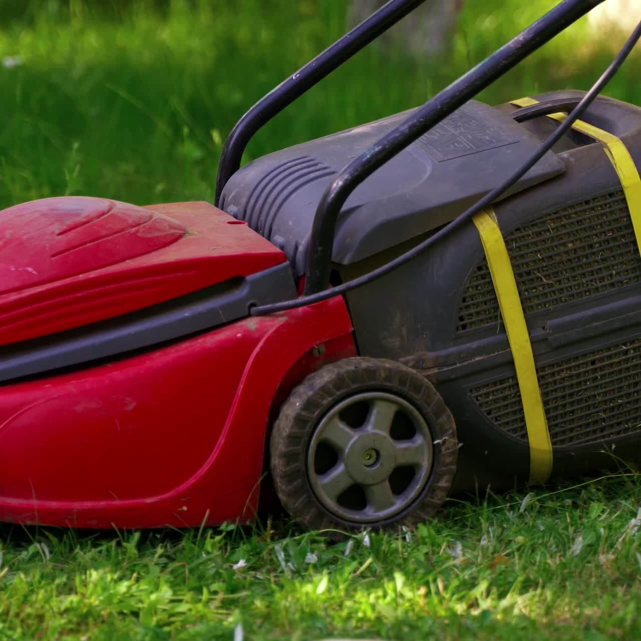 Mowing grass with lawn mower