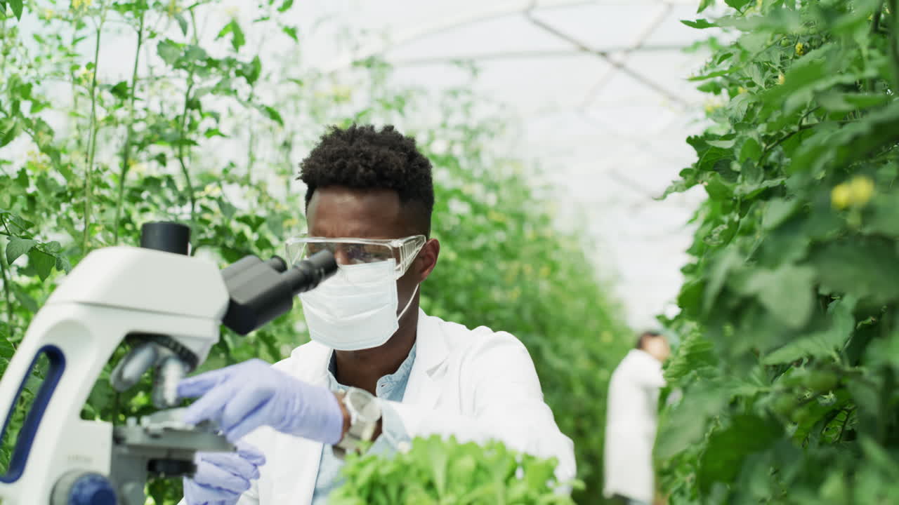 la respuesta está detrás de la lente.