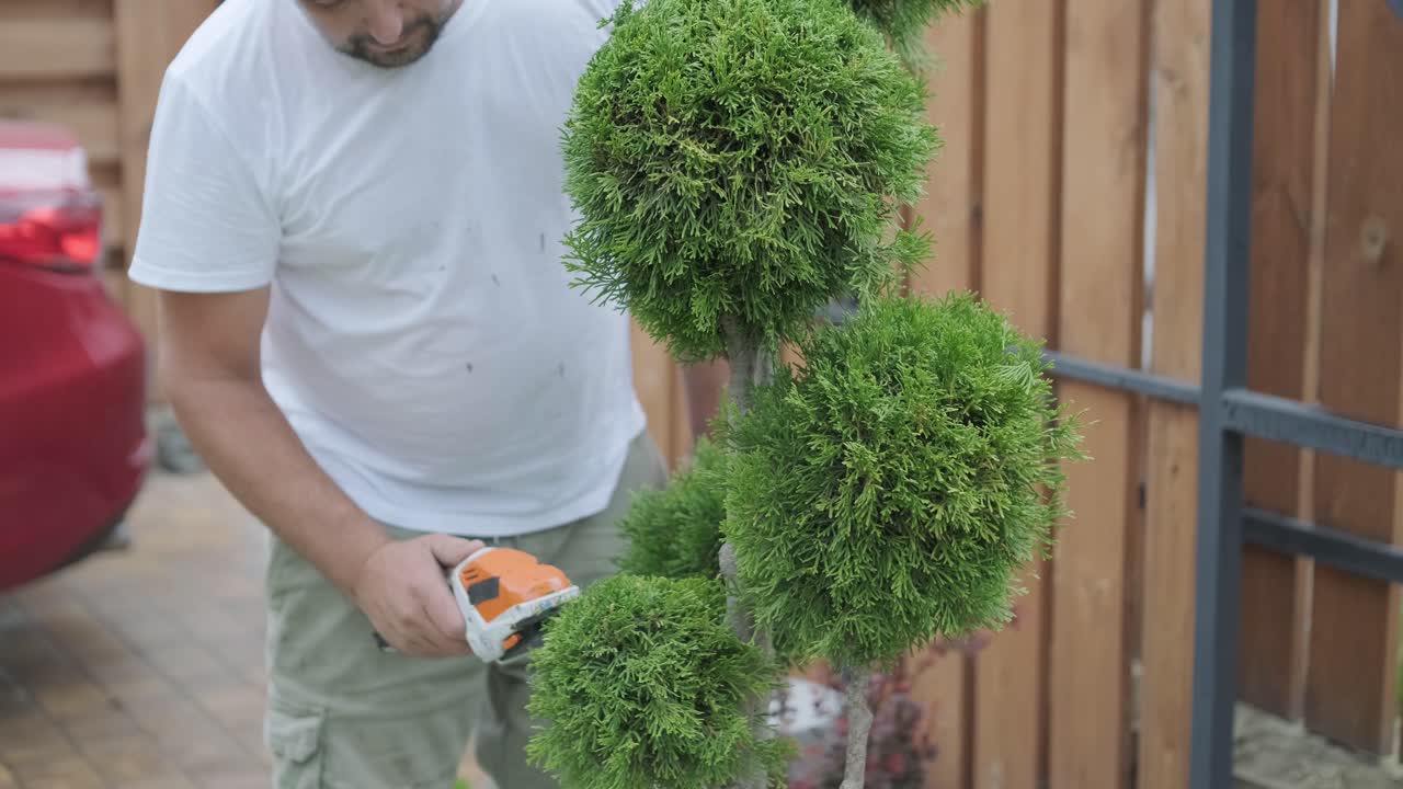 A gardener carefully trims a bush with an electric hedge trimmer in a residential garden. Focus on garden maintenance, plant care, and outdoor landscaping