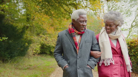 loving senior couple walking arm in arm through autumn countryside together - shot in slow motion