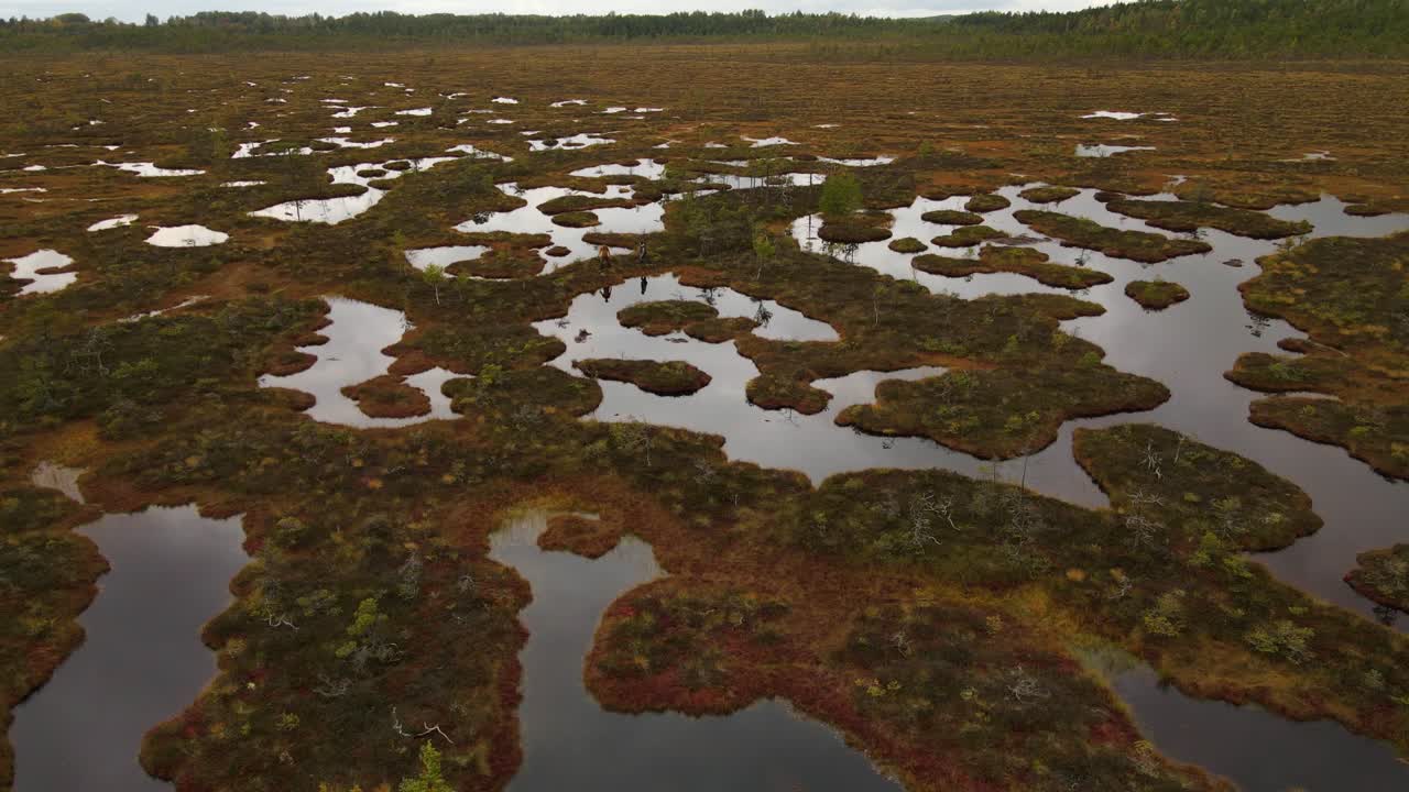las nubes de lluvia se reflejaron en el pantano