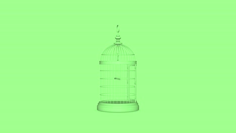 decorative bird cage 4k