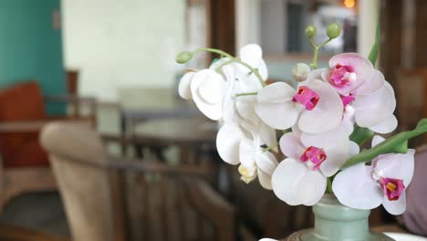 orquídeas en un café