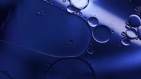 abstract colorful food oil drops bubbles and spheres flowing