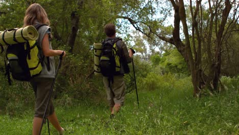 joven pareja de excursionistas felices haciendo senderismo