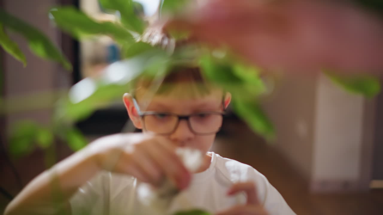 Boy wearing glasses cleaning plant leaves with cloth indoors, focused expression while surrounded by green foliage, learning responsibility, nurturing connection with nature in home environment