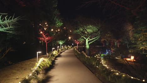 wide shot of a garden pathway surrounded by trees decorated with christmas lights, night