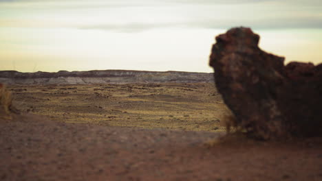 Riesiger-Holzstamm-Im-Petrified-Forest-National-Park-In-Arizona,-Statischer-Schuss-Des-Rack-fokus