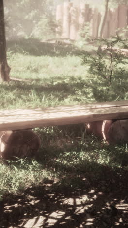 a wooden bench in a forest setting