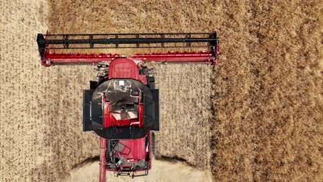 Ingrese-Al-Mundo-De-La-Maquinaria-De-última-Generación-Durante-Una-Operación-De-Cosecha-De-Canola-A-Gran-Escala.