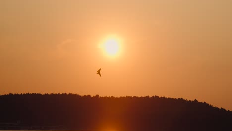 Sonnenuntergang-See-Hängegleiter-Hautnah