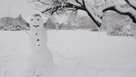 Lindo-Muñeco-De-Nieve-En-El-Parque-En-Un-Día-Nevado