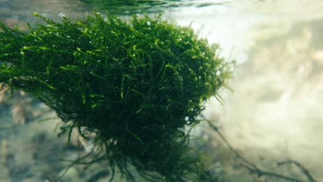 natural spring water outlet close to the surface underwater