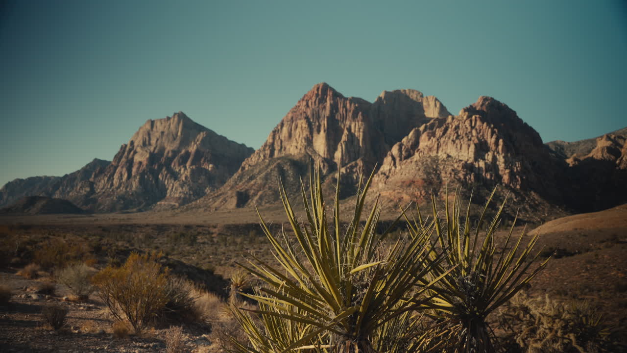 Paesaggio montano desertico con yucca
