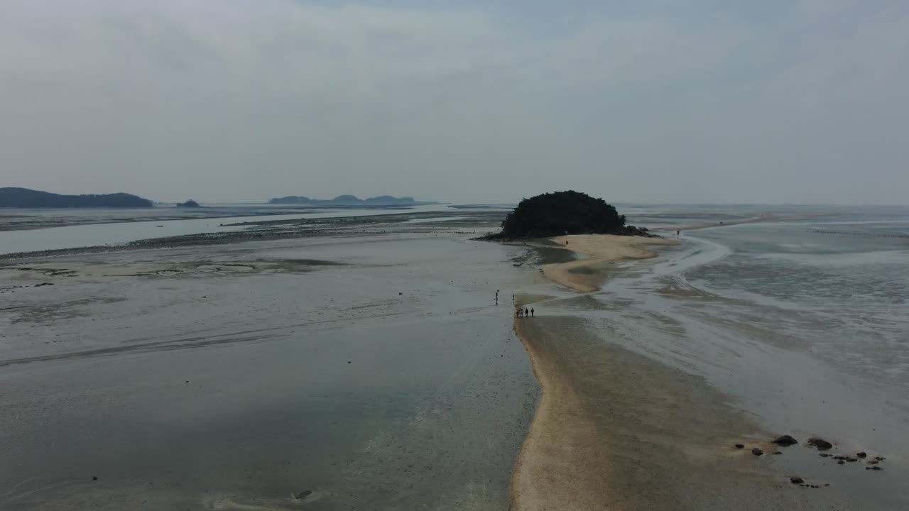 갯벌의 작은 섬