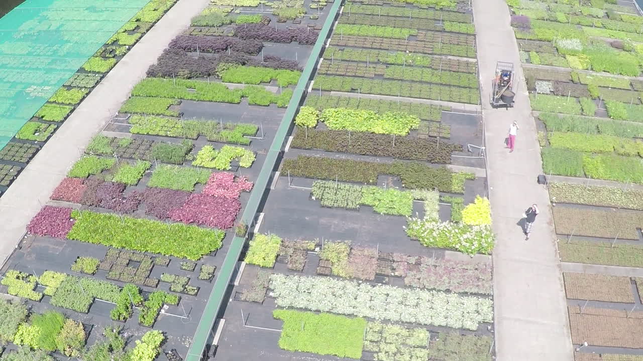 보육원 위를 날고 있는 드론