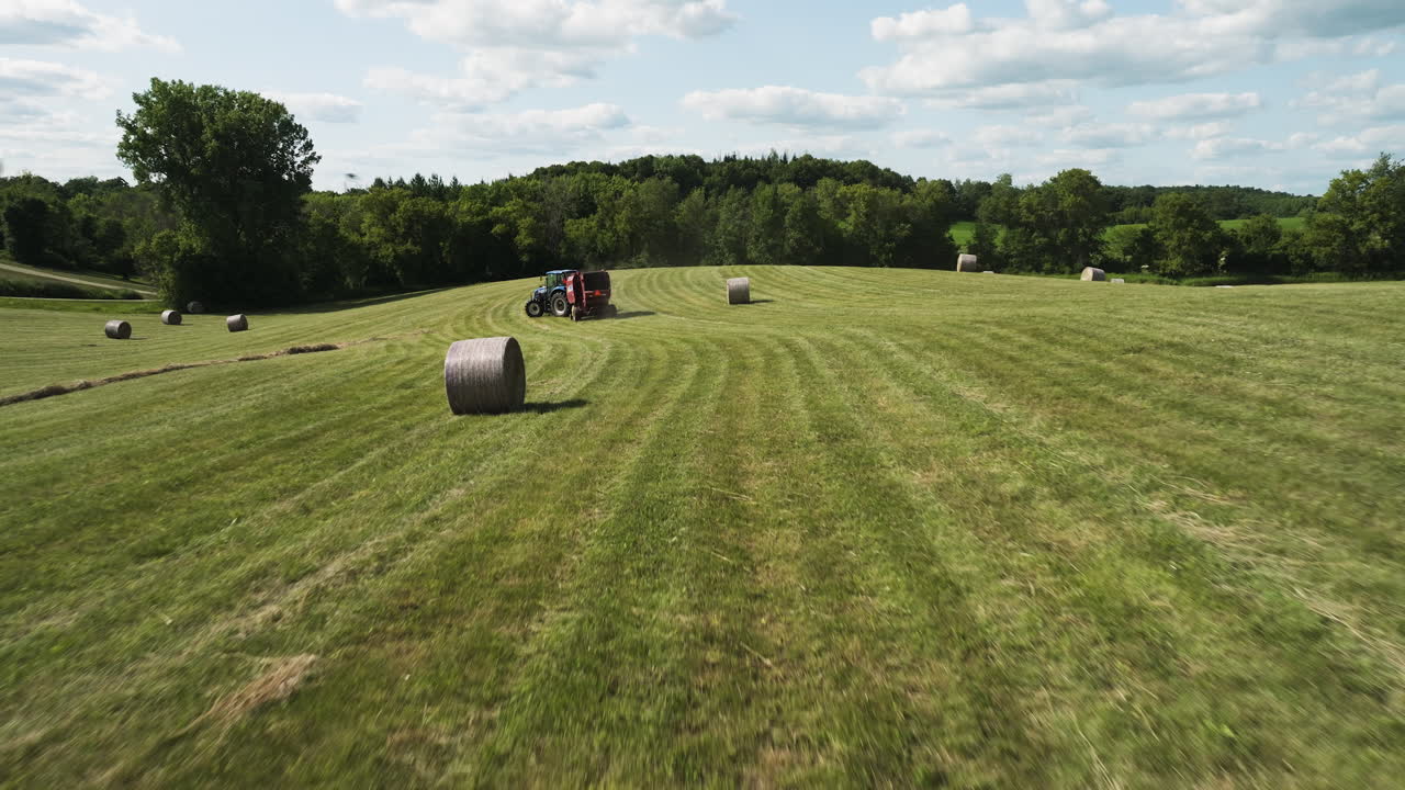 Tractor harvesting field with straw harvester many round Hay bale, aerial