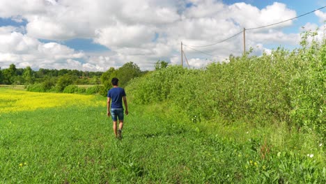 Viajero-Perdido-Caminando-Solo-En-El-Campo-De-Diente-De-León,-Caluroso-Día-De-Verano-En-Letonia