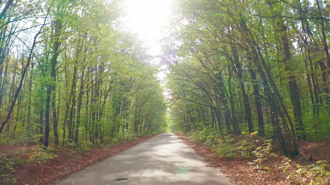 Travelling in wood at sunlight. Road in the forest. Bright sunbeams shine on a path among trees. Many leaves on the ground in autumn forest.