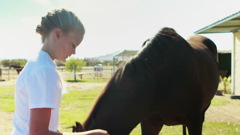 Girl-caressing-the-horse-in-the-ranch-4k